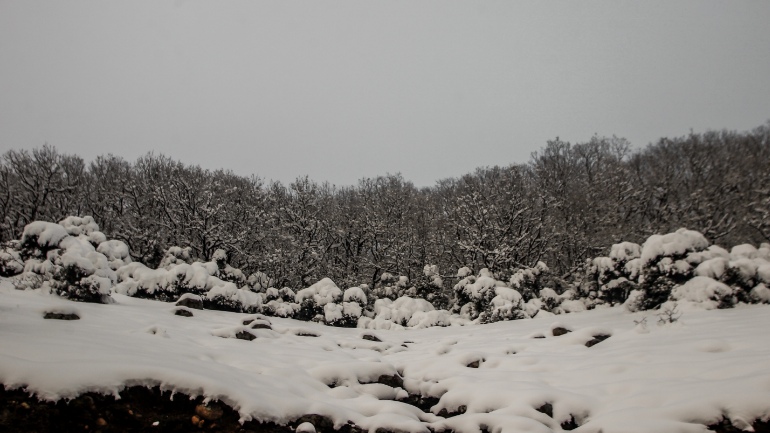 Έντονη χιονόπτωση στα ορεινά των Τρικάλων και της Καρδίτσας- Που χρειάζονται αλυσίδες