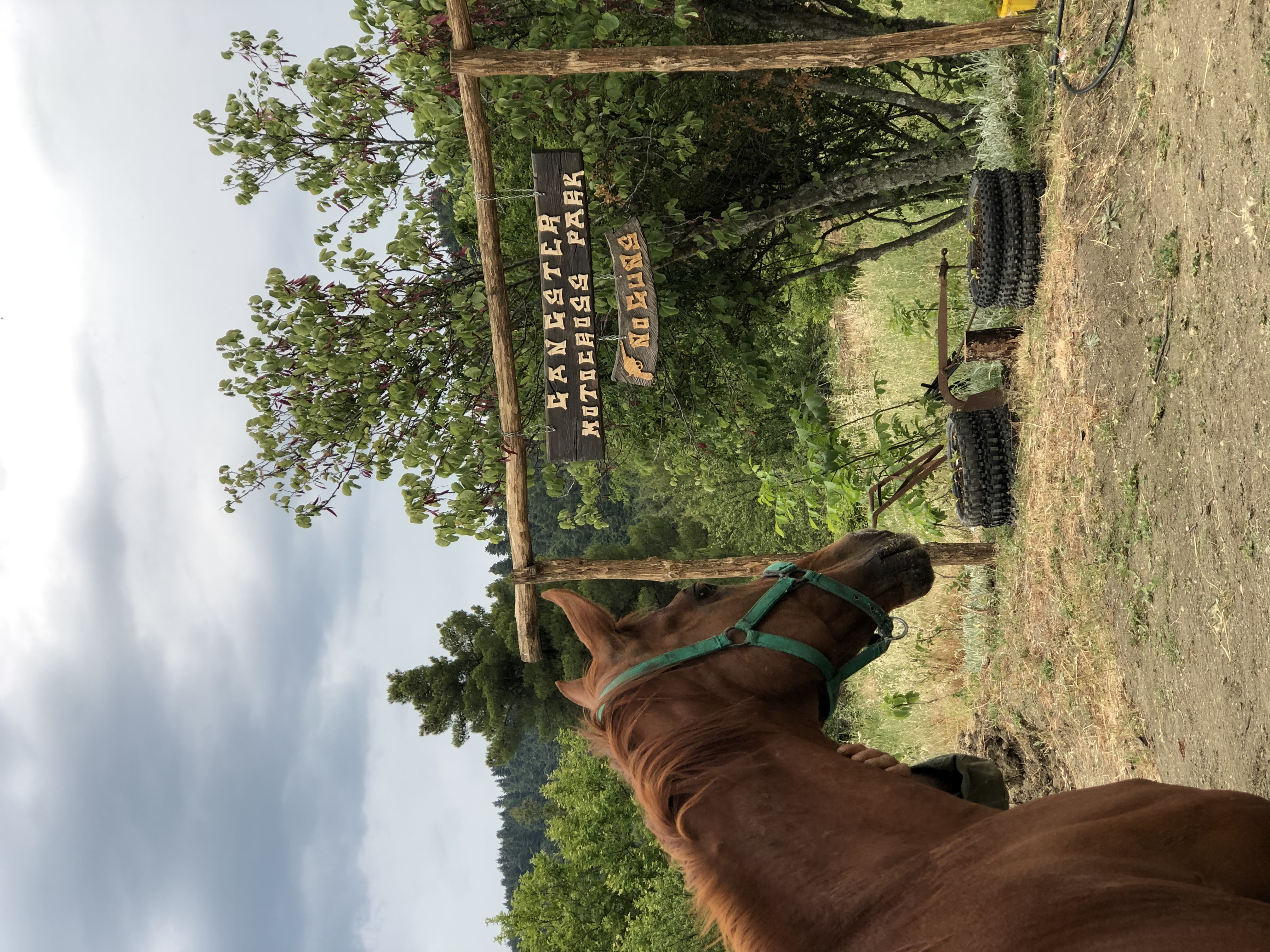 Η «Έλενα» σε μια guest εμφάνιση στο Gangster Mx Park