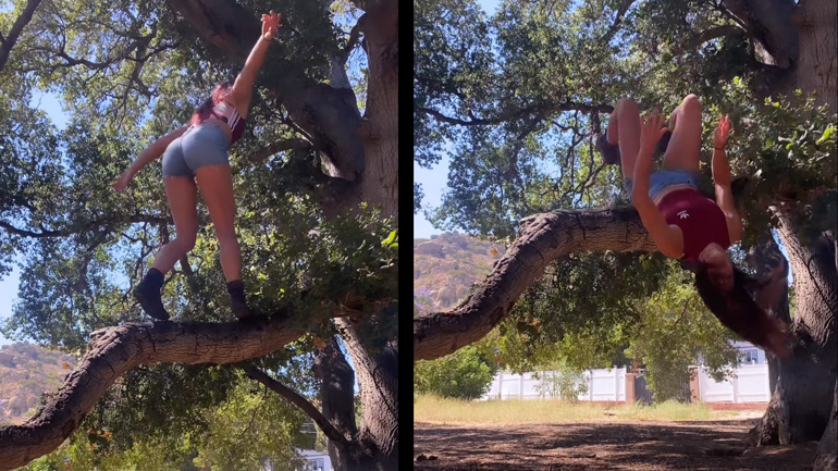 Πέφτοντας από ένα δέντρο με στυλ