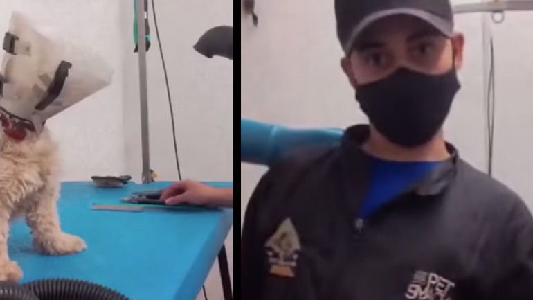 Σκύλος επιτίθεται στον κτηνίατρο με εκπληκτική ταχύτητα