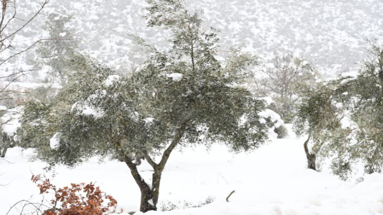 Το 12% της χερσαίας έκτασης της Ελλάδας καλύπτεται με χιόνι, σύμφωνα με το meteo του Αστεροσκοπείου