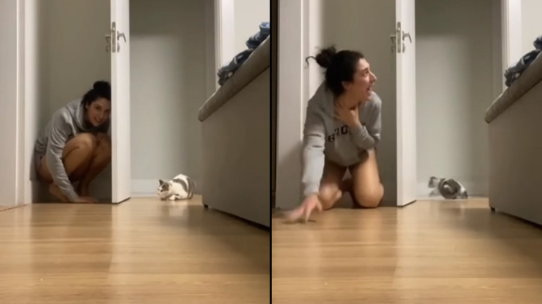 Γυναίκα θέλει να τρομάξει τη γάτα της