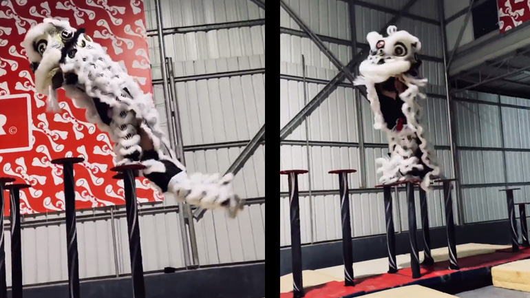 Ο χορός του λιονταριού