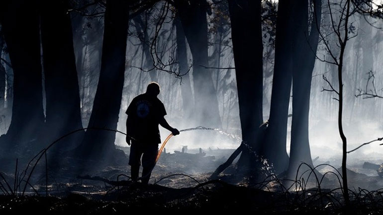 Τουλάχιστον 13 νεκροί από τις δασικές πυρκαγιές στη Χιλή