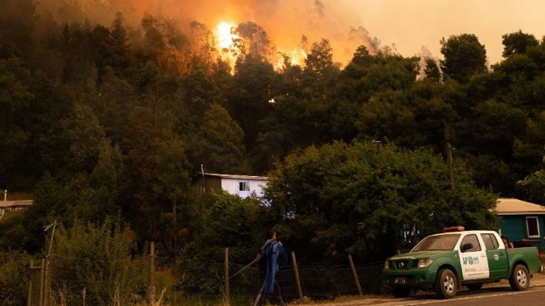 Στους 24 οι νεκροί από τις δασικές πυρκαγιές στη Χιλή