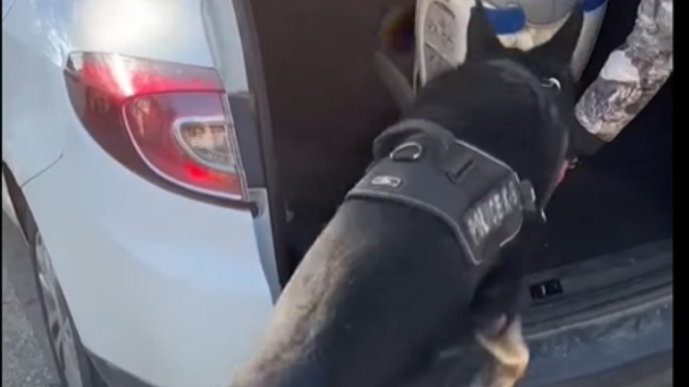 Ο «Ακύλας» ξετρύπωσε ναρκωτικά σε παιδικό κάθισμα αυτοκινήτου