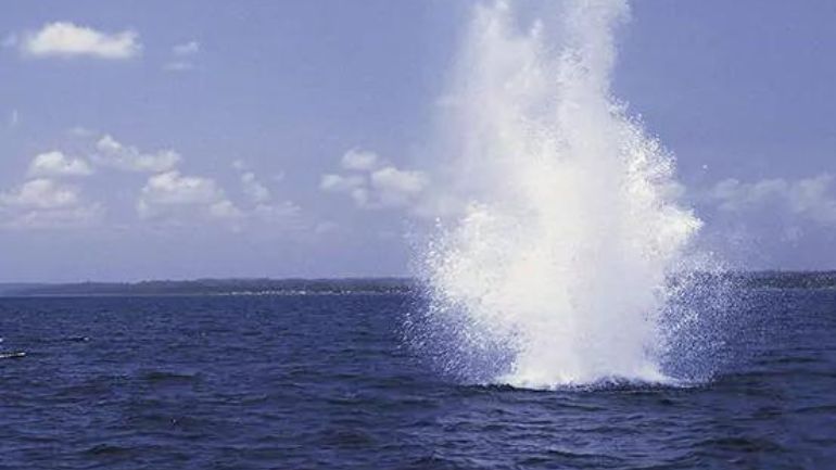 Αχαΐα: Πήγαν για ψάρεμα και τους βρήκαν…. εκρηκτικά