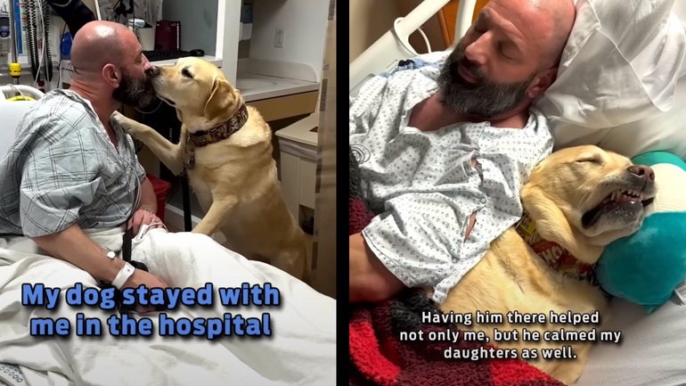 Σκύλος δίπλα στο αφεντικό του στο νοσοκομείο