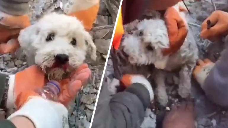 Κάθε πλάσμα δικαιούται μια δεύτερη ευκαιρία στη ζωή