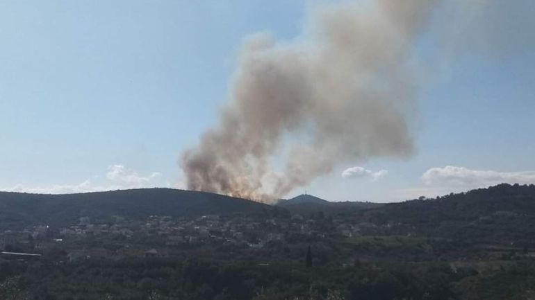 Πυρκαγιά σε δασική έκταση στη Λακωνία