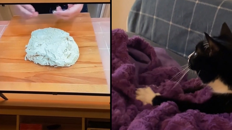 Πώς να ζυμώσετε σωστά τη ζύμη