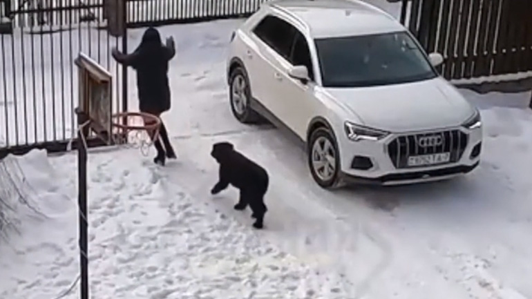 Γυναίκα σε αυτοκίνητο vs σκύλος vs αυτόματη γκαραζόπορτα