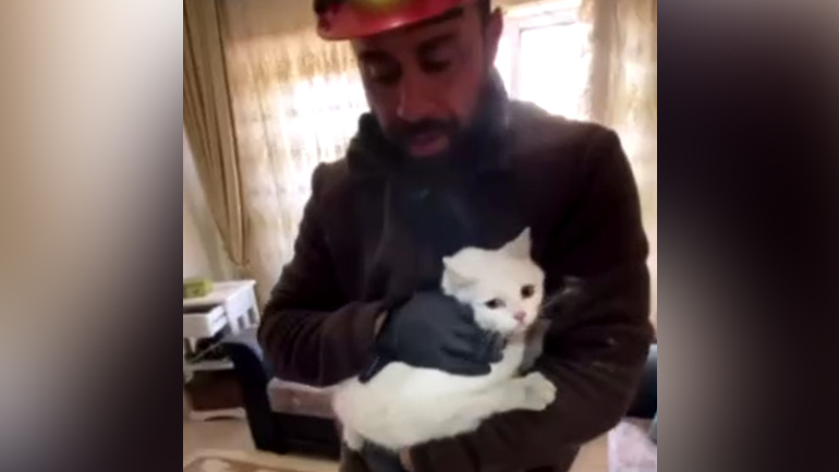 Η διάσωση της γατούλας στα ερείπια του σεισμού Η διάσωση της γατούλας στα ερείπια του σεισμού