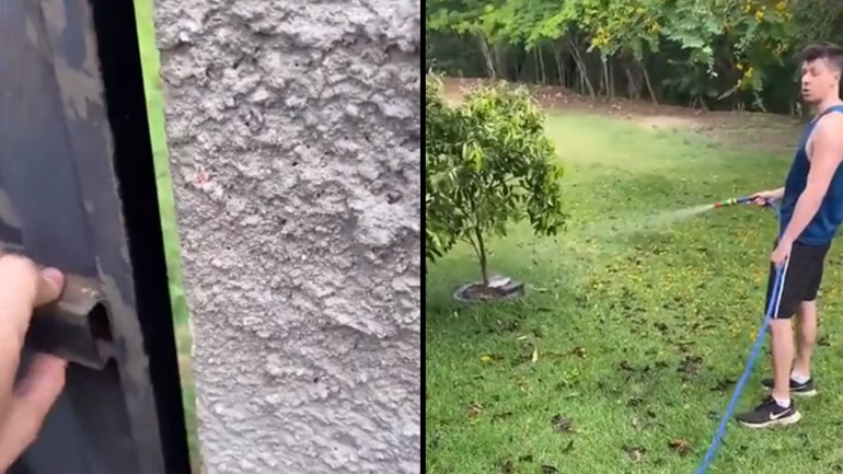 Πρέπει να μιλήσουμε όταν τελειώσεις το πότισμα, βρήκα κάτι στο τηλέφωνό σου