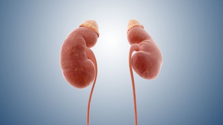 Καρκίνος του νεφρού: Διάγνωση και σύγχρονη θεραπεία