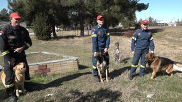 Φιντέλ, Τάλως και Έκτωρ: Τα σκυλιά της 2ης ΕΜΑΚ που σώζουν ζωές