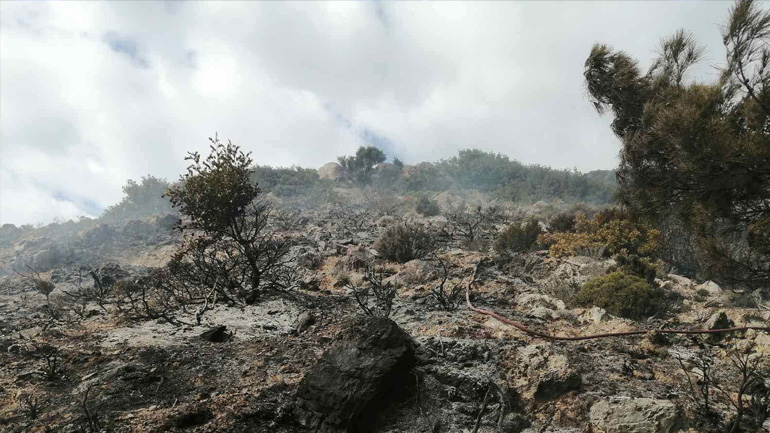 Δύο φωτιές στα Χανιά – Μία σύλληψη για εμπρησμό