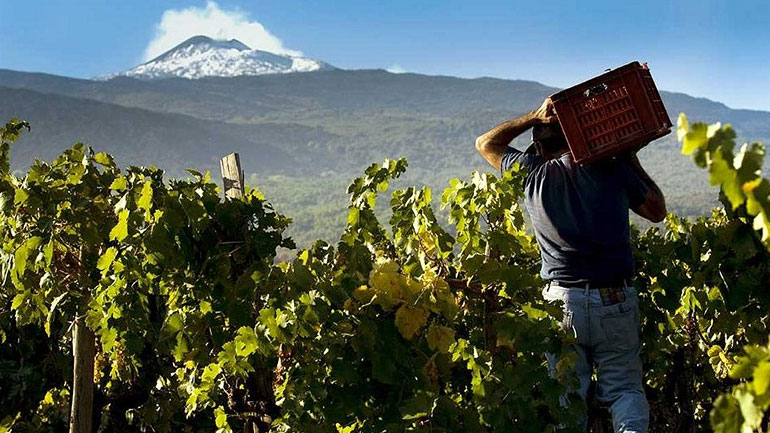 Εννέα ελληνικές συμμετοχές στη Wine Paris – Vinexpo Paris 2023