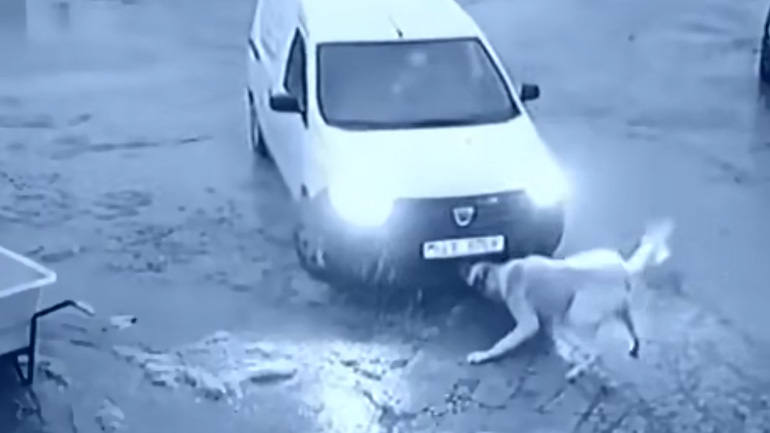 Δεν παρκάρεις εδώ