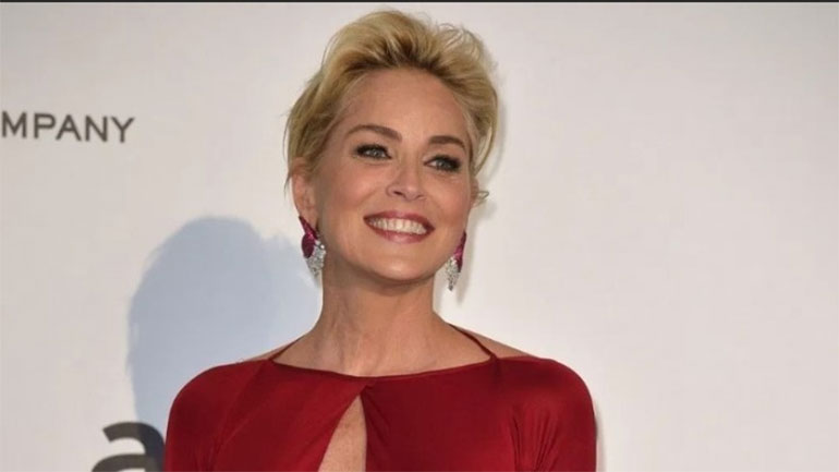 Σάρον Στόουν: Έχασε την επιμέλεια του γιου της μετά το Βασικό Έντικτο