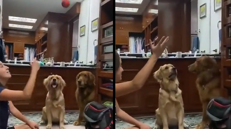 Πού πήγε το μπαλάκι;