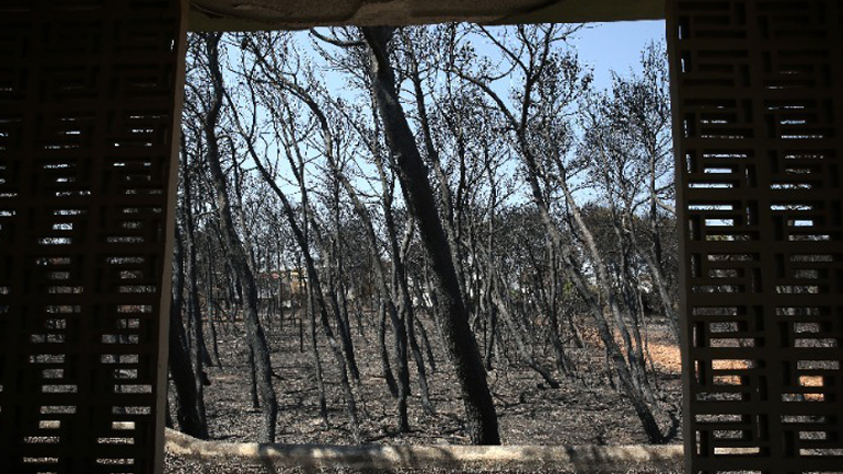 Δίκη για το Μάτι: Επιμένει στην έγκαιρη εκκένωση ο Δ. Λιότσος – Αυτοψία του χώρου ζήτησε ο κατηγορούμενος Σ. Τερζούδης