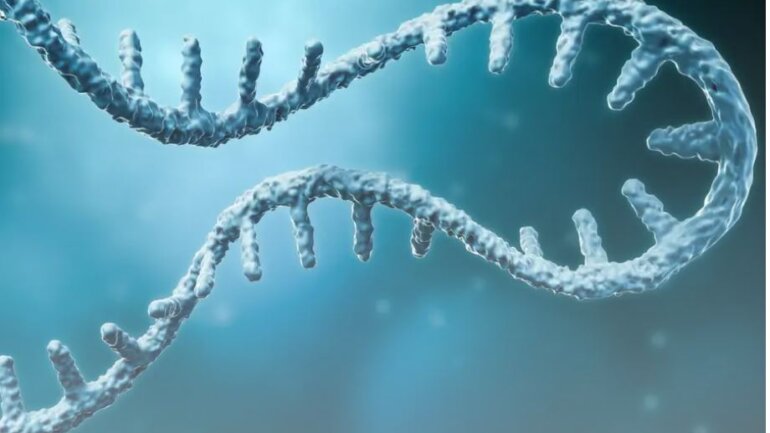 Το πρώτο εμβόλιο mRNA στον κόσμο για θανατηφόρα βακτήρια