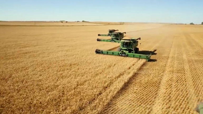 Η συμφωνία για τα σιτηρά της Μαύρης Θάλασσας παρατάθηκε για 60 ημέρες, λέει Ρώσος αξιωματούχος στο TASS