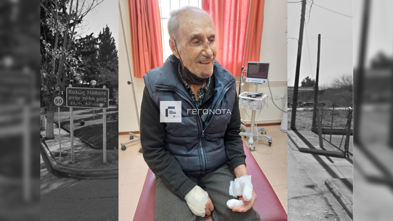 Άγρια επίθεση από αδέσποτα σκυλιά δέχτηκε 93χρονος στον Αλμυρό Βόλου