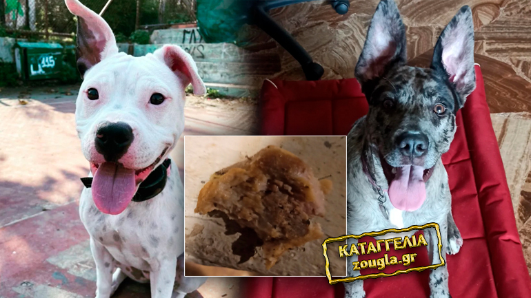 Καταγγελία για φόλες στην περιοχή των Αμπελοκήπων