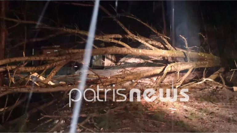 Κρέστενα Ηλείας: Νεκρός ηλικιωμένος μετά από πτώση δέντρου