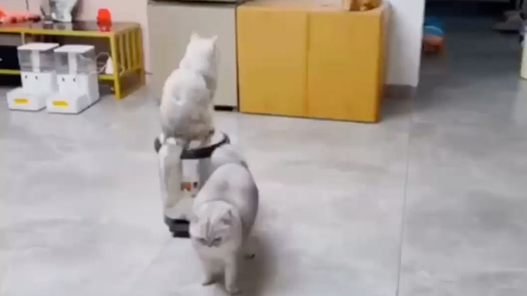 Πώς να γλιτώσεις από τους ανεπιθύμητους