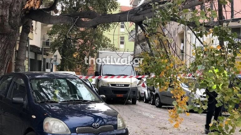 Θεσσαλονίκη: Φύσηξε προβλήματα ο Βαρδάρης – Αρκετές πτώσεις δέντρων