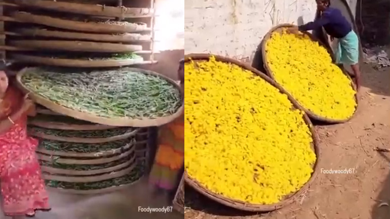 Η παραγωγή του μεταξιού