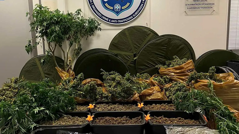 Εξαρθρώθηκε εγκληματική οργάνωση που καλλιεργούσε υδροπονική κάνναβη στου Ρέντη – Τρεις συλλήψεις Εξαρθρώθηκε εγκληματική οργάνωση που καλλιεργούσε υδροπονική κάνναβη στου Ρέντη – Τρεις συλλήψεις