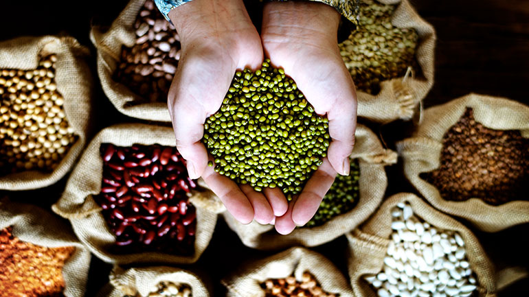 Πρόστιμο 42.500 ευρώ στην τράπεζα σπόρων «Πελίτι»