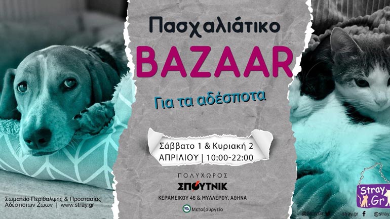 Πάσχα και Παγκόσμια Ημέρα Αδέσποτων Ζώων; Ευκαιρία για στήριξη στο stray.gr