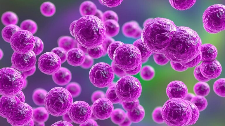 Νέα έρευνα δείχνει ότι τα βακτήρια «πεινούν» επίσης