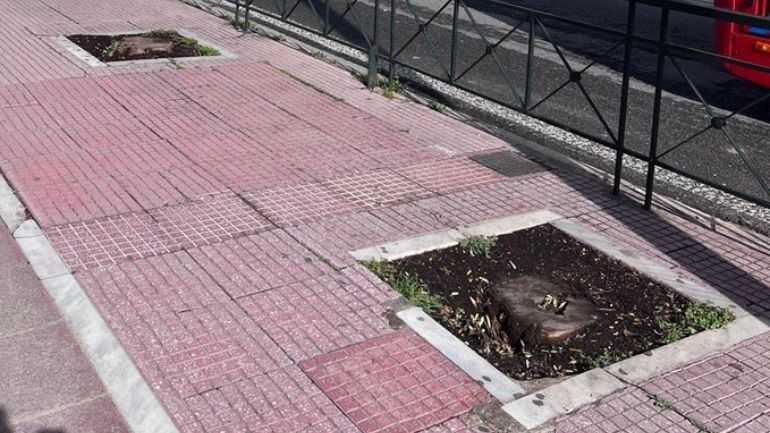 Απάντηση του Δήμου Αθηναίων για την κοπή των δένδρων στα λουλουδάδικα