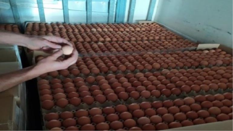 «Μπλόκο» του ΣΔΟΕ σε φορτίο με 302.400 αυγά χωρίς σήμανση