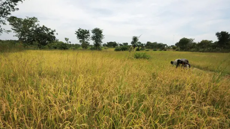 Ένοπλοι σκότωσαν τουλάχιστον 46 ανθρώπους σε χωριό της Νιγηρίας