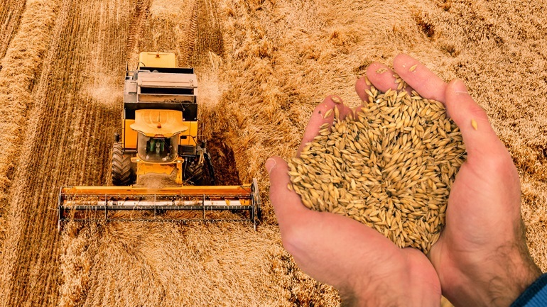 Η Ρωσία προειδοποιεί τη Δύση ότι μπορεί να παρακάμψει τη συμφωνία για τα ουκρανικά σιτηρά