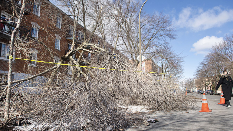 Καναδάς: Εκατοντάδες χιλιάδες νοικοκυριά χωρίς ηλεκτρικό ρεύμα σε Κεμπέκ και Οντάριο λόγω παγοθύελλας