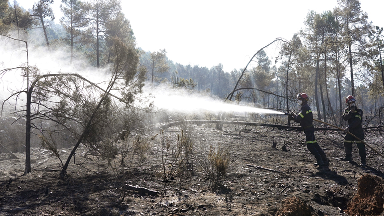 Η Ισπανία καταγράφει τον χειρότερο Μάρτιο από το 2008, με καμμένη γη 40.000 εκταρίων