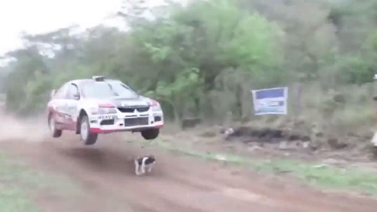 Αγωνιστικό αυτοκίνητο κάνει άλμα πάνω από σκύλο