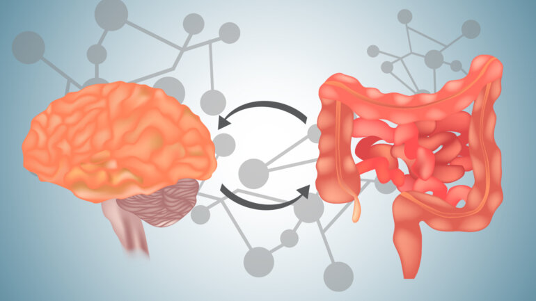 Διατροφή και σύνδεση εντέρου-εγκεφάλου