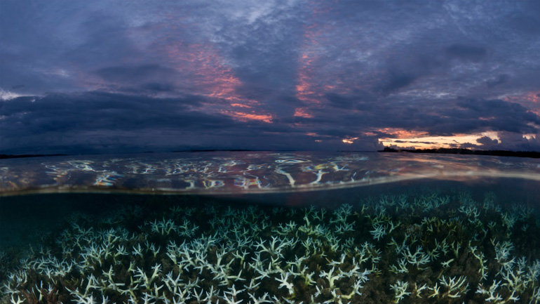 Η θερμοκρασία της επιφάνειας των ωκεανών φτάνει σε νέο υψηλό ρεκόρ