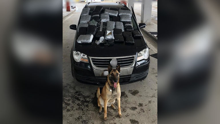 Αλεξανδρούπολη: Η σκυλίτσα Λάικα εντόπισε κρυμμένα 27 κιλά κάνναβης – Συνελήφθη o μεταφορέας