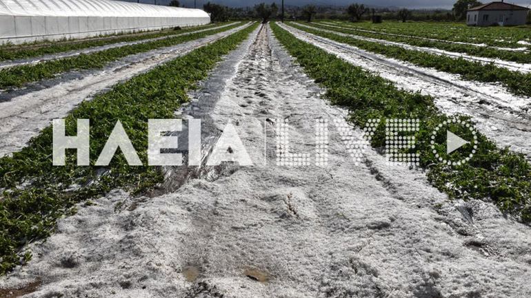 Σφοδρή χαλαζόπτωση στην Ηλεία – Σε απόγνωση οι αγρότες από τις καταστροφές στις καλλιέργειες