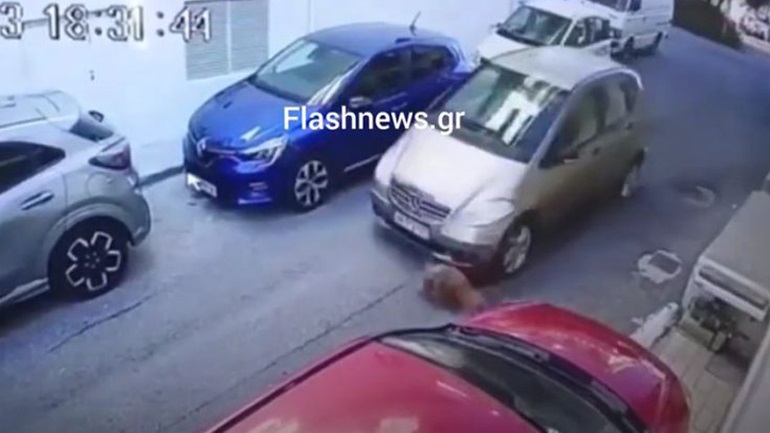 Ελεύθερη με περιοριστικούς όρους η 63χρονη που χτύπησε και εγκατέλειψε σκύλο στο Ηράκλειο